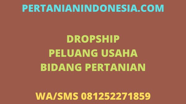 DROPSHIP PELUANG USAHA PRODUK PERTANIAN